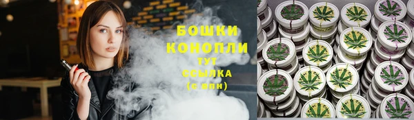 индика Бородино