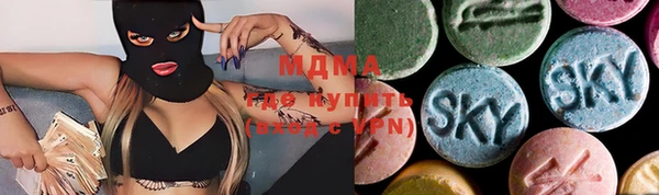 индика Бородино