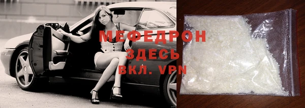индика Бородино