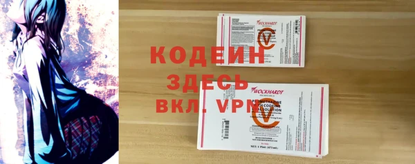 индика Бородино