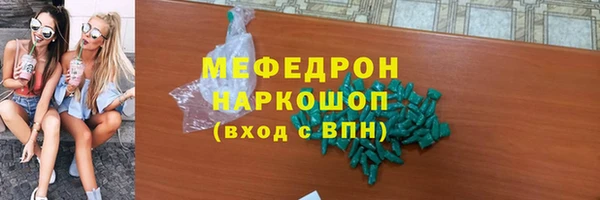 индика Бородино