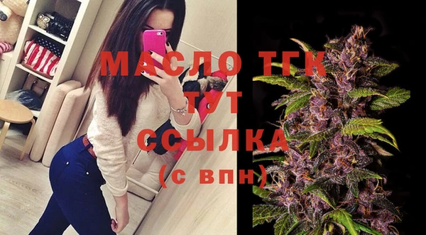 индика Бородино