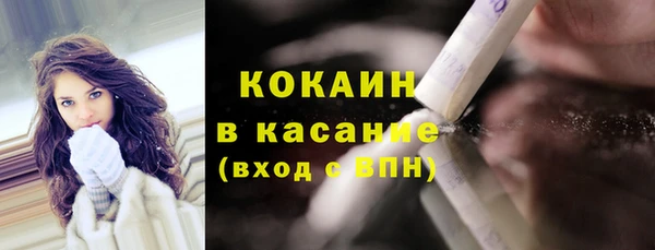 индика Бородино