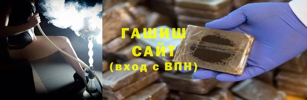 индика Бородино