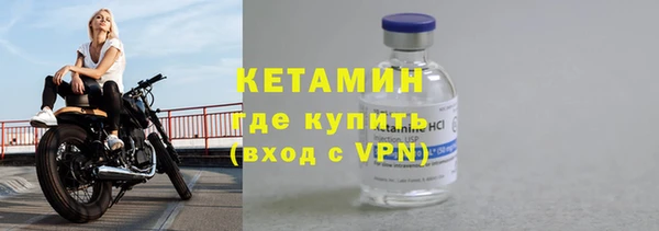 индика Бородино