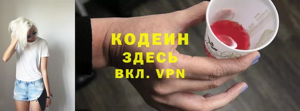 индика Бородино