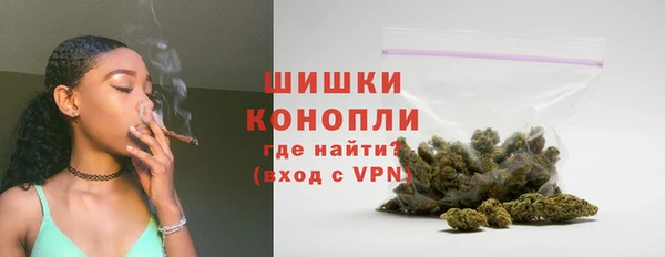 индика Бородино