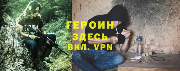 индика Бородино