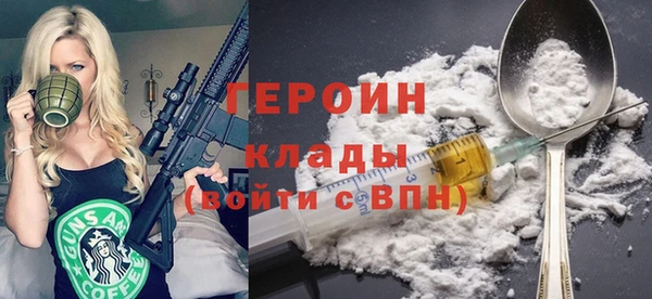 индика Бородино