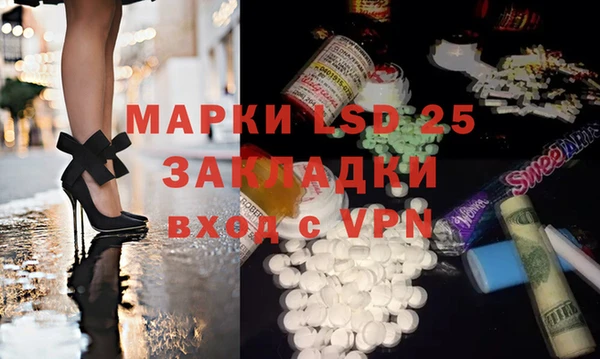 индика Бородино