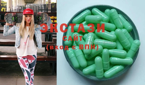 индика Бородино