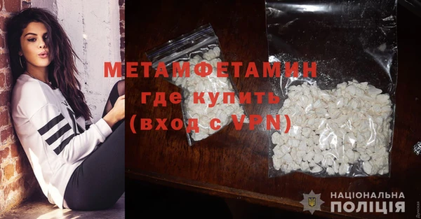 индика Бородино