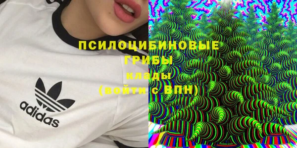 индика Бородино