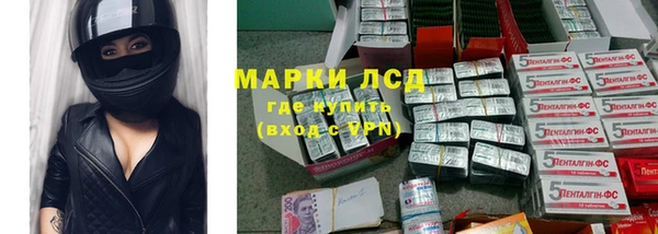 индика Бородино